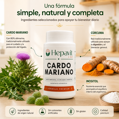 Hepavit Cardo Mariano - Desintoxicación del hígado y limpieza de colon