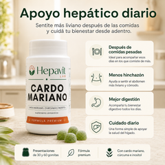 Hepavit Cardo Mariano - Desintoxicación del hígado y limpieza de colon