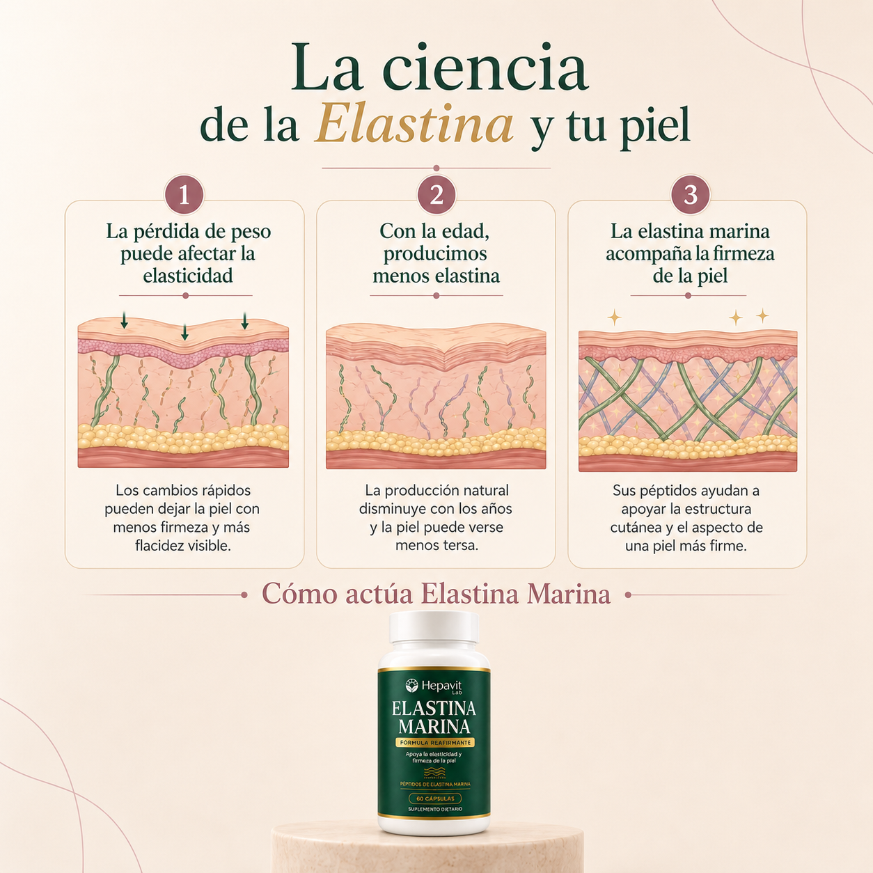 Elastina Marina para Firmeza y Elasticidad | Hepavit