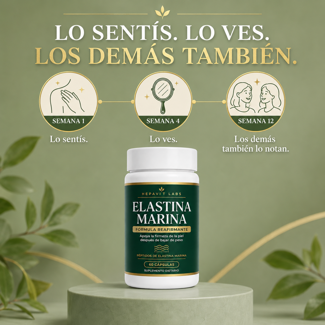 Elastina Marina — Fórmula Reafirmante